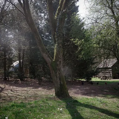 Classy - Tiny House *