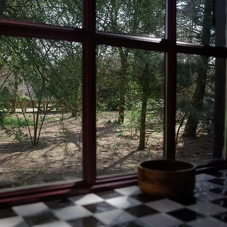 Classy - Tiny House 度假居 *