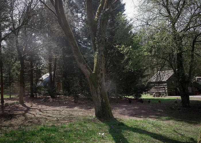 Classy - Tiny House *